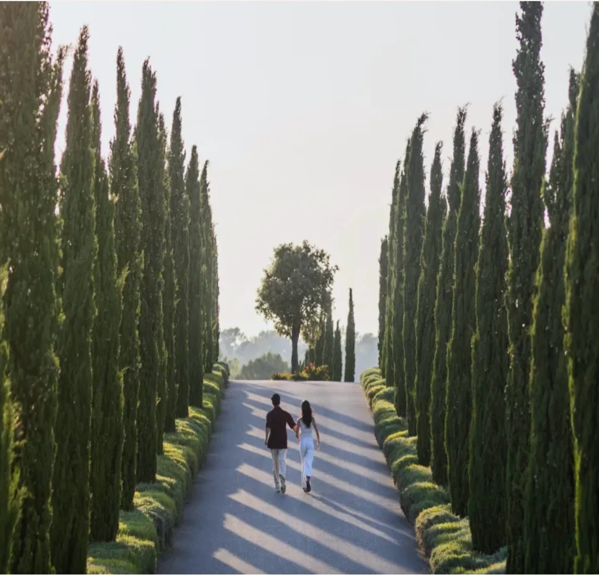 Rene and Arthur walking hand in hand down a cypress-lined path